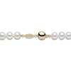 Thumbnail Image 1 of Yoko London White Freshwater Cultured Pearl Necklace 18K Yellow Gold 18"