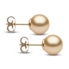 Thumbnail Image 1 of Yoko London Golden South Sea Cultured Pearl Stud Earrings 18K Yellow Gold