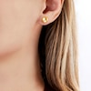 Thumbnail Image 3 of Yoko London Golden South Sea Cultured Pearl Stud Earrings 18K Yellow Gold