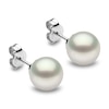 Thumbnail Image 0 of Yoko London White South Sea Cultured Pearl Stud Earrings 18K White Gold
