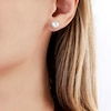 Thumbnail Image 3 of Yoko London White South Sea Cultured Pearl Stud Earrings 18K White Gold