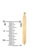 Thumbnail Image 2 of Diamond-Cut Hoop Earrings 14K Yellow Gold 35mm
