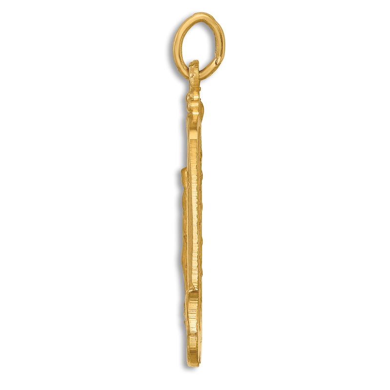 Main Image 3 of Miraculous Virgin Mary Medal Pendant Necklace 14K Yellow Gold