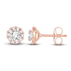 Diamond Stud Earrings 1/2 ct tw Round 14K Rose Gold