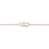 Thumbnail Image 2 of Pnina Tornai Black Diamond Necklace 1 ct tw Heart/Round 14K Rose Gold