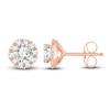 Diamond Stud Earrings 1/4 ct tw Round 14K Rose Gold