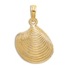 Thumbnail Image 0 of Textured Shell Charm 14K Yellow Gold