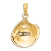 Textured Shell Charm 14K Yellow Gold