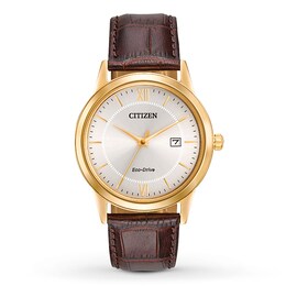 Citizen Men's Watch Strap Collection AW1232-04A