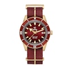 Thumbnail Image 0 of Rado Captain Cook Automatic Watch R32504407