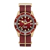 Thumbnail Image 1 of Rado Captain Cook Automatic Watch R32504407