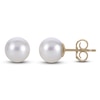 Thumbnail Image 1 of Akoya Cultured Pearl Stud Earrings 14K Yellow Gold 6.5-7mm