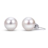 Thumbnail Image 1 of Cultured Pearl Stud Earrings 14K White Gold 10-10.5mm