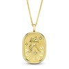 Thumbnail Image 1 of Shy ICON Zodiac Diamond Accent Aquarius Necklace 14K Yellow Gold 18" B22001099-AQU