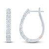 Thumbnail Image 1 of Pnina Tornai Diamond Hoop Earrings 1 ct tw 14K White Gold