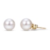 Thumbnail Image 1 of Akoya Cultured Pearl Stud Earrings 14K Yellow Gold 7.5-8mm