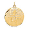 Thumbnail Image 1 of High-Polish Life Charm 14K Yellow Gold