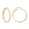 Thumbnail Image 0 of Hoop Earrings 14K Yellow Gold