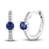 Shy Creation Natural Blue Sapphire Earrings 1/20 ct tw Diamonds 14K White Gold SC55020192