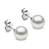 Thumbnail Image 0 of Yoko London White Akoya Cultured Pearl Stud Earrings 18K White Gold