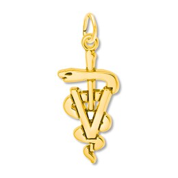 Veterinarian Symbol Charm 14K Yellow Gold
