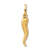 Thumbnail Image 0 of 3D Italian Horn Charm 14K Yellow Gold