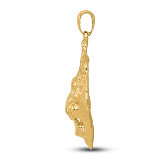 Gold Lion Charm 14K Yellow Gold | Jared