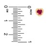 Thumbnail Image 2 of Children's Lab-Created Ruby Stud Earrings 14K Yellow Gold
