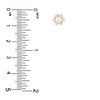 Cultured Freshwater Pearl & Natural White Topaz Flower Stud Earring 14K Yellow Gold