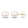 Thumbnail Image 0 of Freshwater Cultured Pearl Stud Earrings 14K Yellow Gold 8-8.5mm