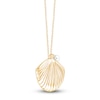 Thumbnail Image 2 of Children's Cultured Pearl & Shell Locket Necklace 14K Yellow Gold 13"