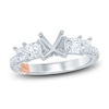 Thumbnail Image 1 of Pnina Tornai Lab-Grown Diamond Engagement Ring Setting 1-3/8 ct tw Princess/Round 14K White Gold
