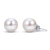 Thumbnail Image 1 of Cultured Pearl Stud Earrings 14K White Gold 7-7.5mm
