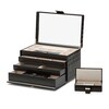 Thumbnail Image 4 of WOLF Caroline Large Jewelry Case