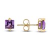 Thumbnail Image 1 of Natural Amethyst Earrings 10K Yellow Gold