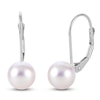 Thumbnail Image 1 of Akoya Cultured Pearl Drop Earrings 14K White Gold 7-7.5mm