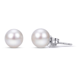 Akoya Cultured Pearl Stud Earrings 14K White Gold 7.5-8mm