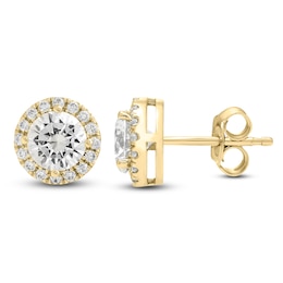 Jared Signature Diamond Halo Stud Earrings 2 ct tw 14K Yellow Gold