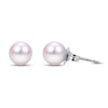 Thumbnail Image 1 of Akoya Cultured Pearl Earrings 14K White Gold
