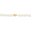 Thumbnail Image 2 of Cultured Pearl Necklace 14K Yellow Gold 16"