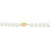 Thumbnail Image 1 of Cultured Pearl Necklace 14K Yellow Gold 18"
