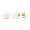 Thumbnail Image 2 of Cultured Pearl Stud Earrings 14K Yellow Gold 8.5mm