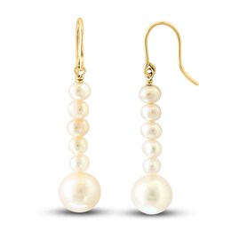 LALI Jewels Cultured Freshwater Pearl Earrings 14K Yellow Gold