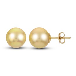 Cultured South Sea Golden Pearl Stud Earrings 14K Yellow Gold