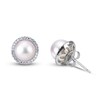 Thumbnail Image 0 of Cultured South Sea Pearl Stud Earrings 1/4 ct tw Diamonds 14K White Gold