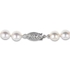 Thumbnail Image 3 of Akoya Cultured Pearl Necklace 14K White Gold 16"