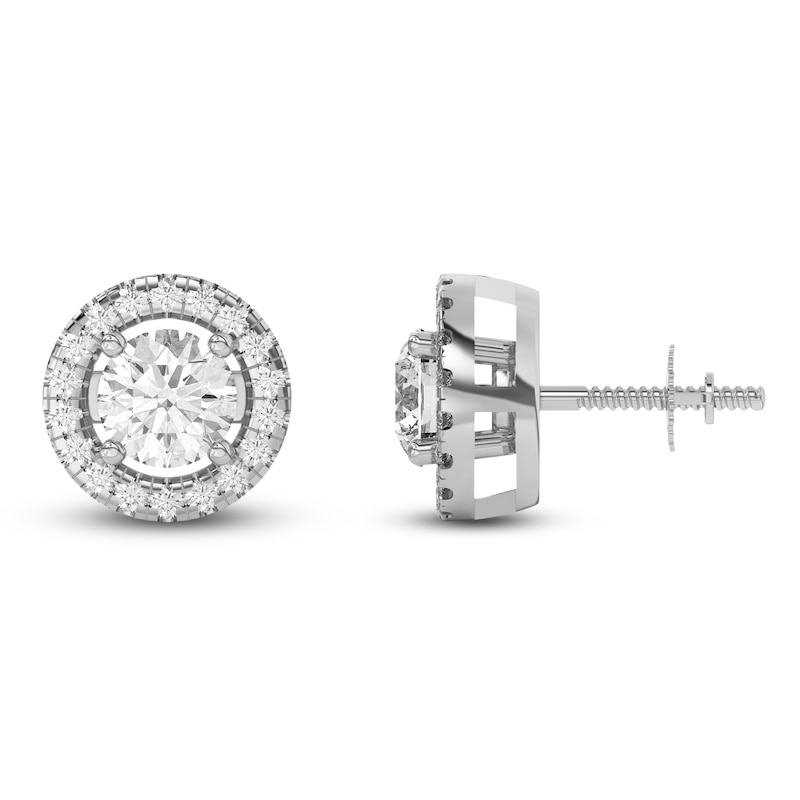Main Image 4 of Lab-Grown Diamond Earring Jackets 1/5 ct tw 10K White Gold (Jacket Only)