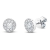 Thumbnail Image 2 of Shy Creation Diamond Halo Stud Earrings 1 ct tw 14K White Gold J-SC22008055