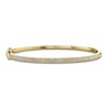 Thumbnail Image 1 of Shy Creation Diamond Bangle Bracelet 1/2 ct tw 14K Yellow Gold J-SC55002256ZS
