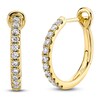 Thumbnail Image 1 of Shy Creation Diamond Hoop Earrings 1/4 ct tw 14K Yellow Gold J-SC22005537